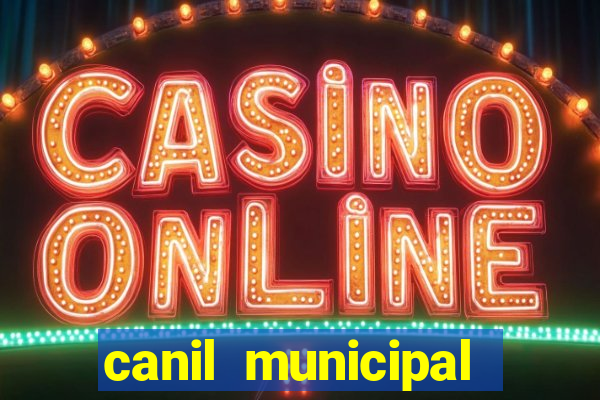 canil municipal porto alegre