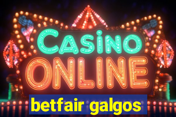 betfair galgos