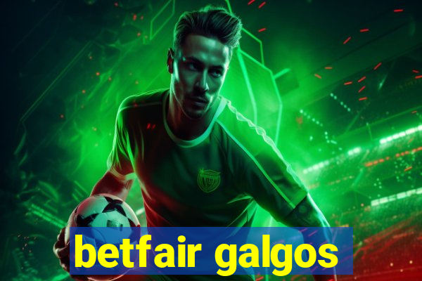 betfair galgos