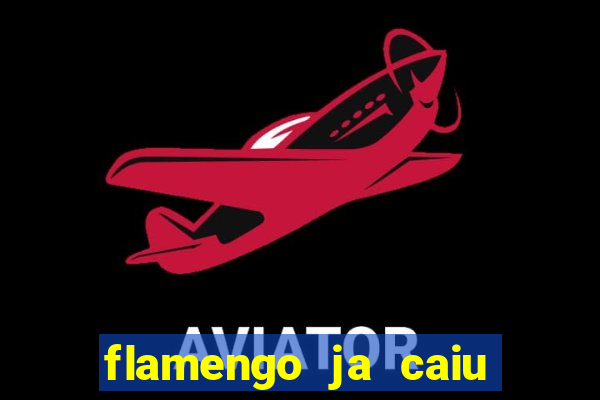 flamengo ja caiu para serie b