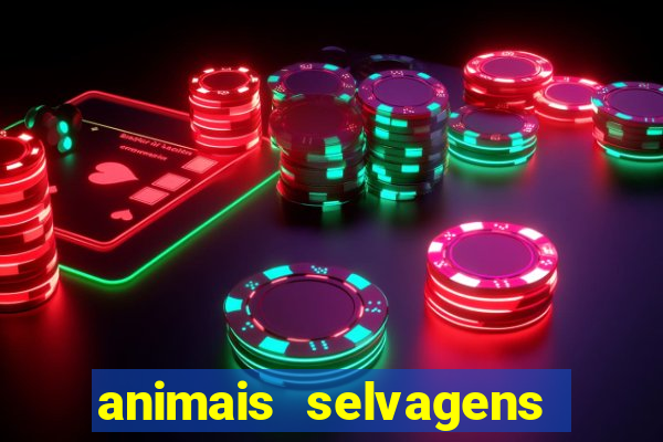animais selvagens fotos e nomes