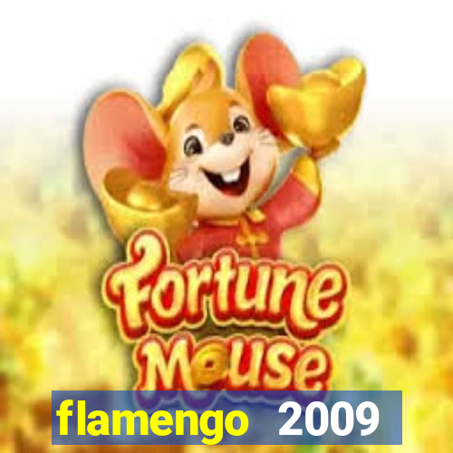 flamengo 2009 campeonato brasileiro