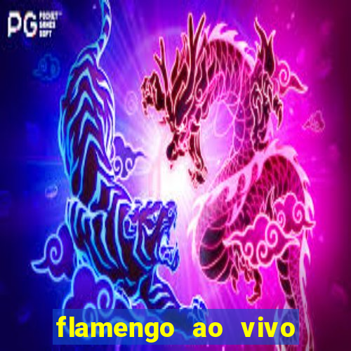 flamengo ao vivo multi tv