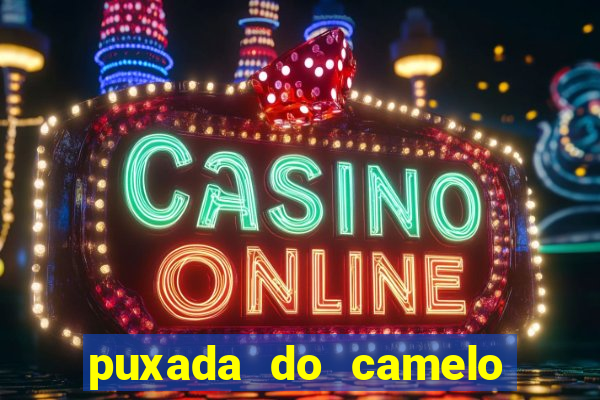 puxada do camelo jogo do bicho