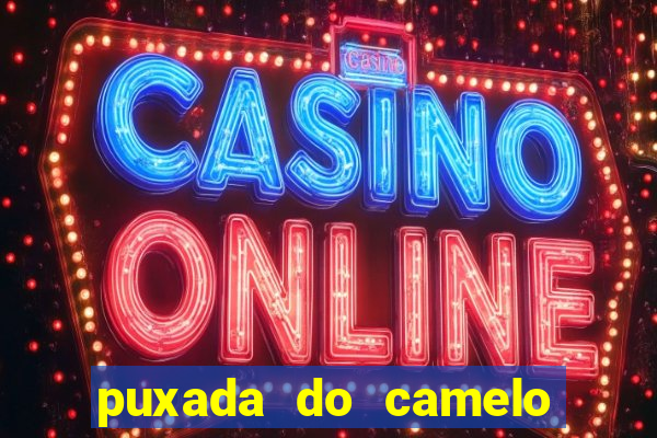 puxada do camelo jogo do bicho