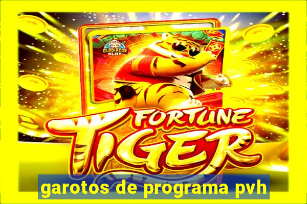 garotos de programa pvh