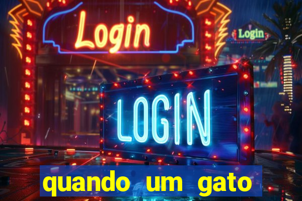 quando um gato aparece do nada significado espiritual