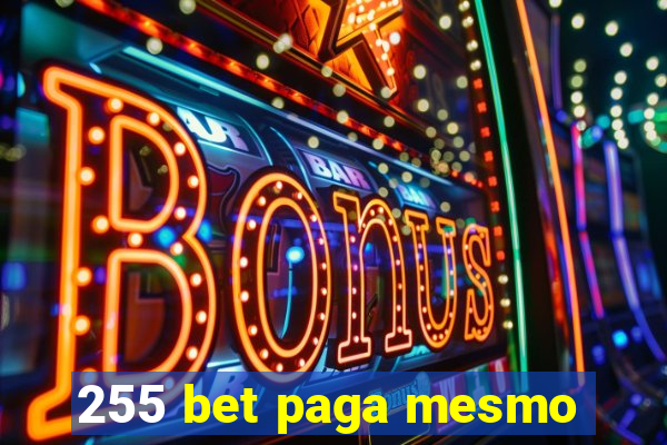 255 bet paga mesmo