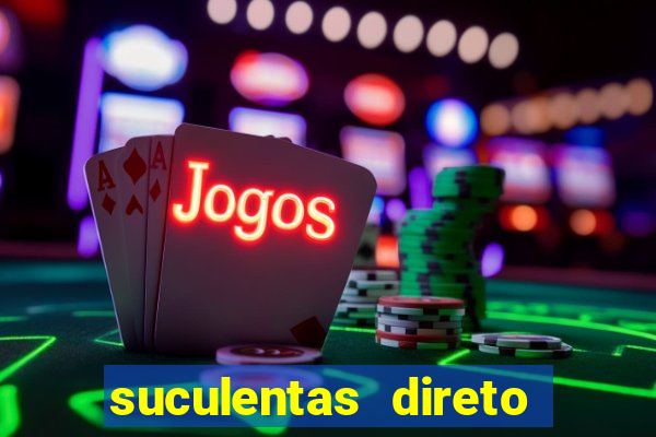 suculentas direto do produtor rs