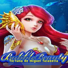fortuna de miguel falabella