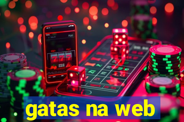 gatas na web