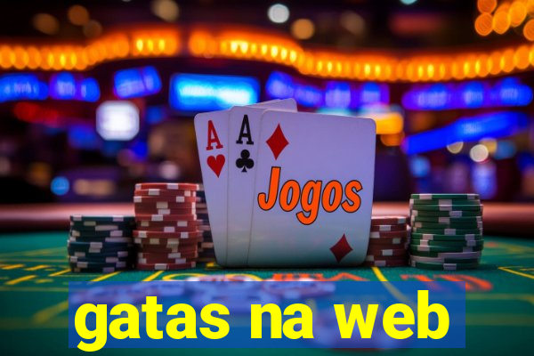 gatas na web