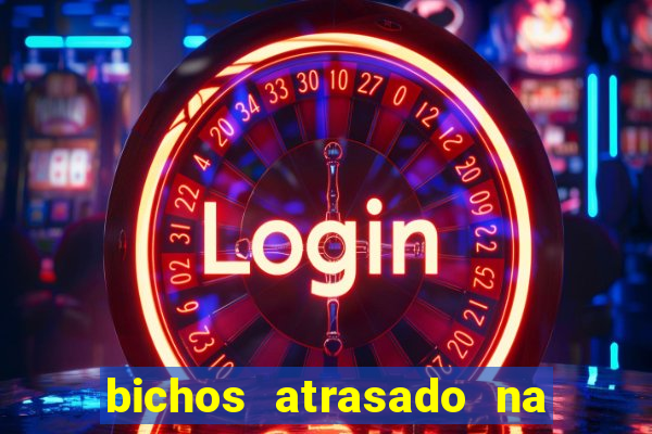 bichos atrasado na loteria dos sonhos