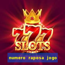 numero raposa jogo do bicho