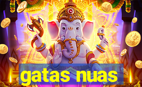 gatas nuas