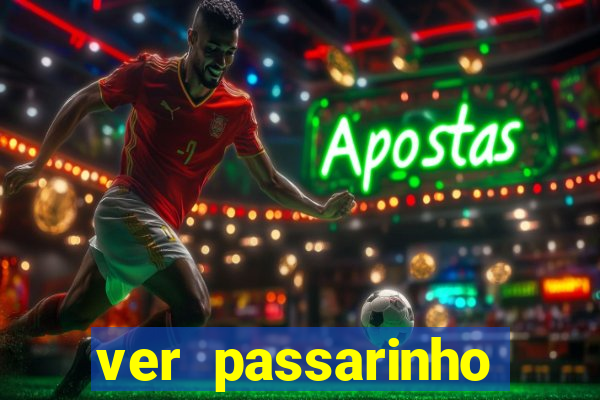 ver passarinho morto significado espiritual