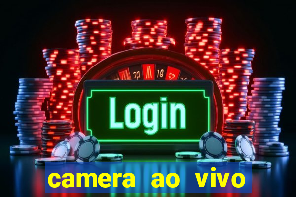 camera ao vivo porto de galinhas