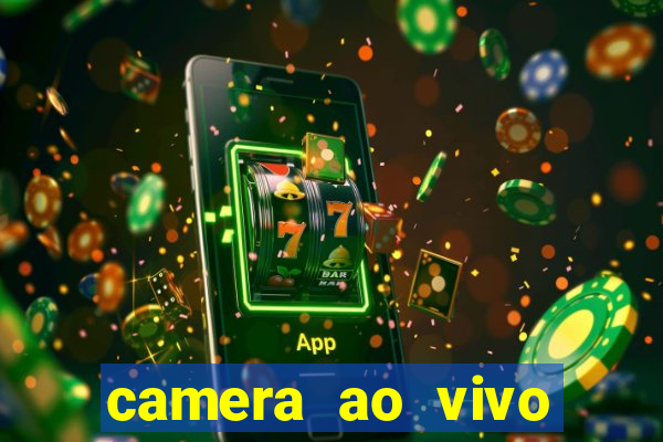 camera ao vivo porto de galinhas