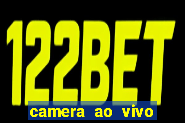 camera ao vivo porto de galinhas