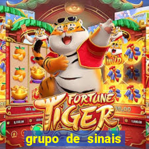 grupo de sinais fortune rabbit