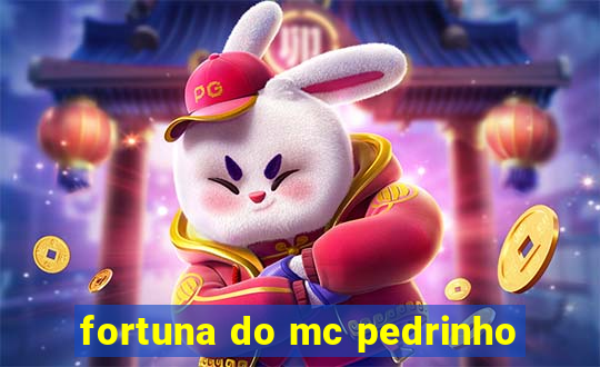 fortuna do mc pedrinho