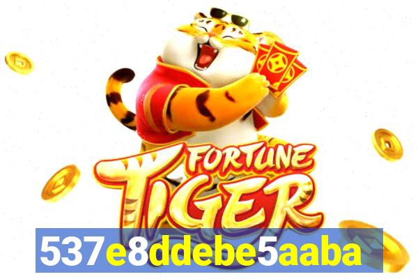 qmbet com plataforma