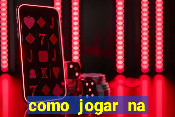 como jogar na seninha online