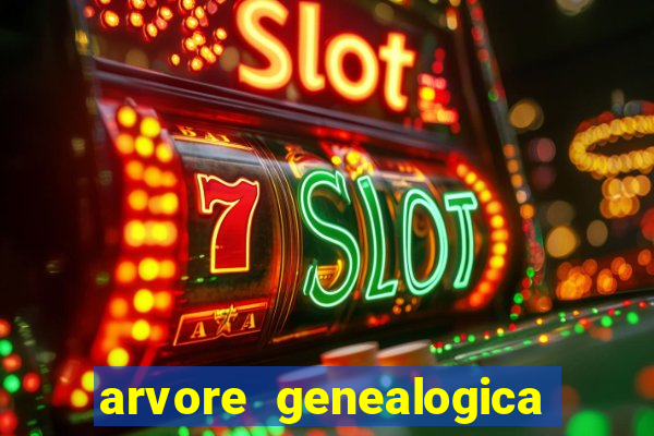 arvore genealogica dos gracie