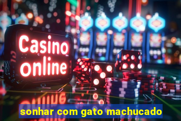 sonhar com gato machucado