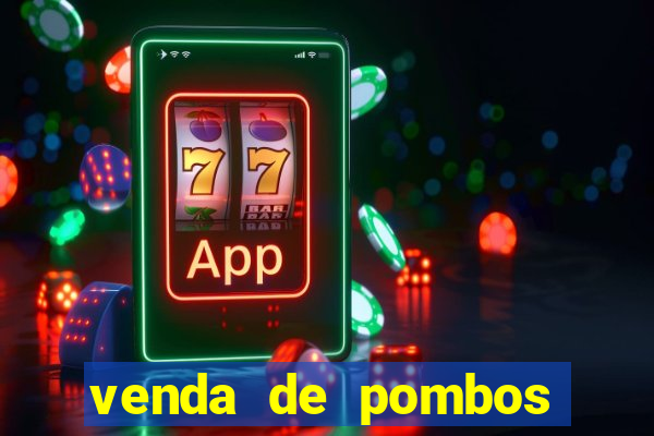 venda de pombos correios olx