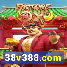 38v388.com