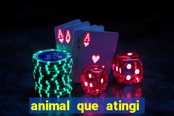 animal que atingi 230 decibeis