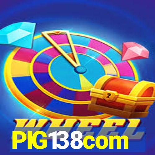PIG138com