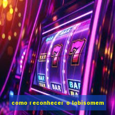 como reconhecer o lobisomem