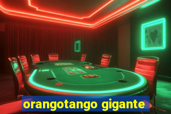 orangotango gigante