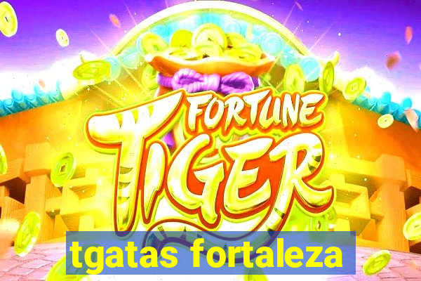 tgatas fortaleza