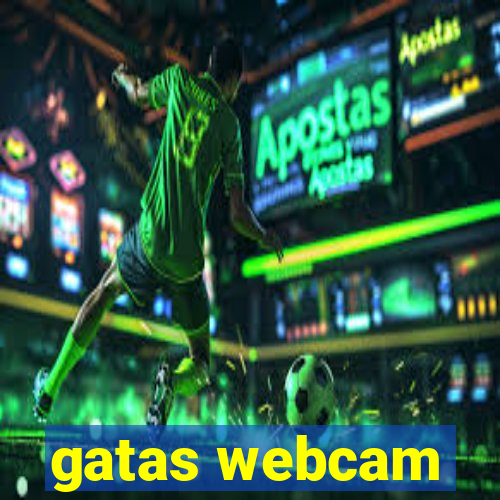 gatas webcam