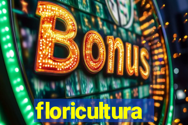 floricultura juazeiro bahia