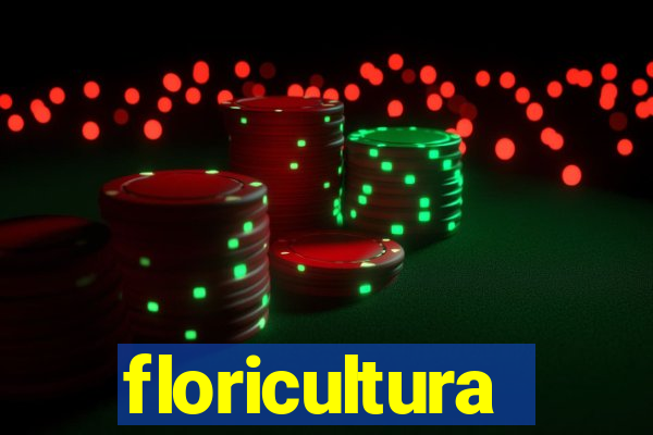 floricultura juazeiro bahia