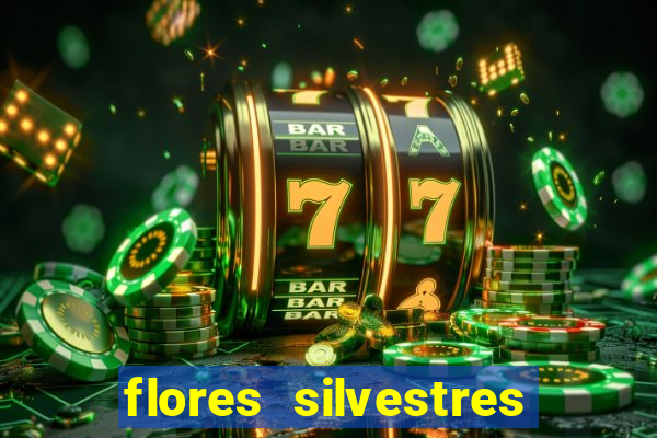 flores silvestres desbravadores desbravadores 25
