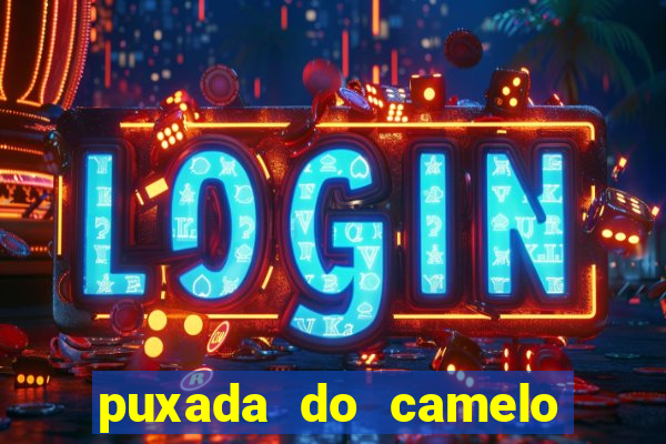 puxada do camelo no jogo do bicho