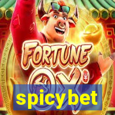 spicybet