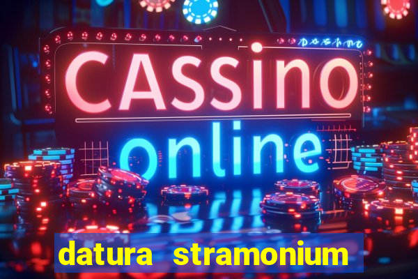datura stramonium medicinal uses
