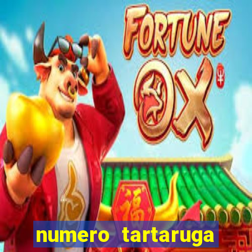 numero tartaruga jogo do bicho
