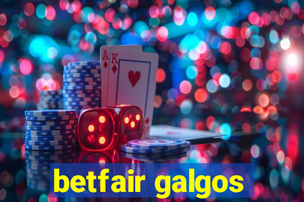betfair galgos